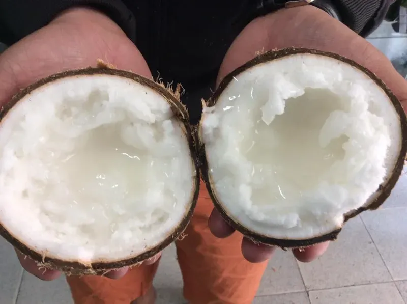 cách ăn dừa sáp 1