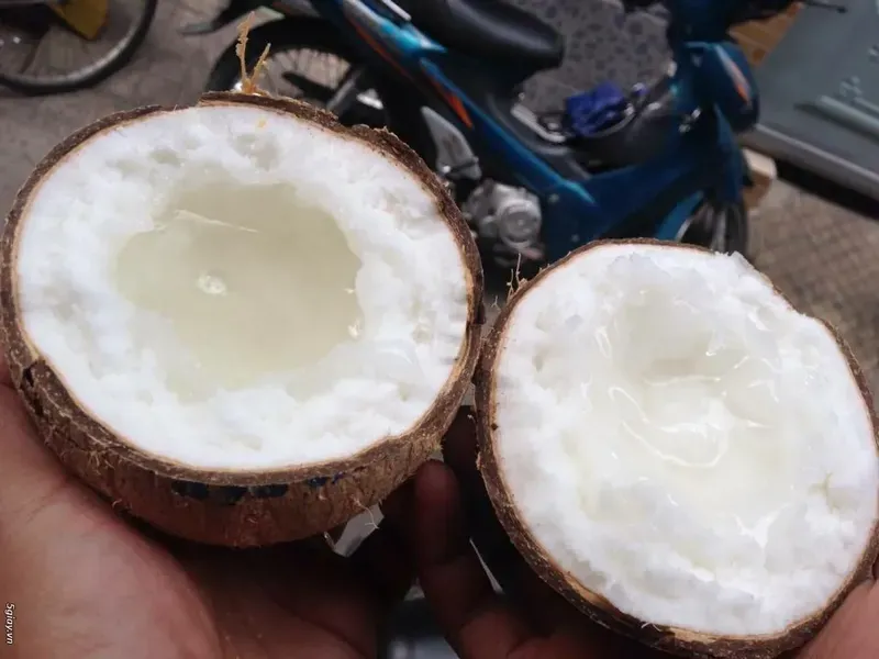 cách ăn dừa sáp 4