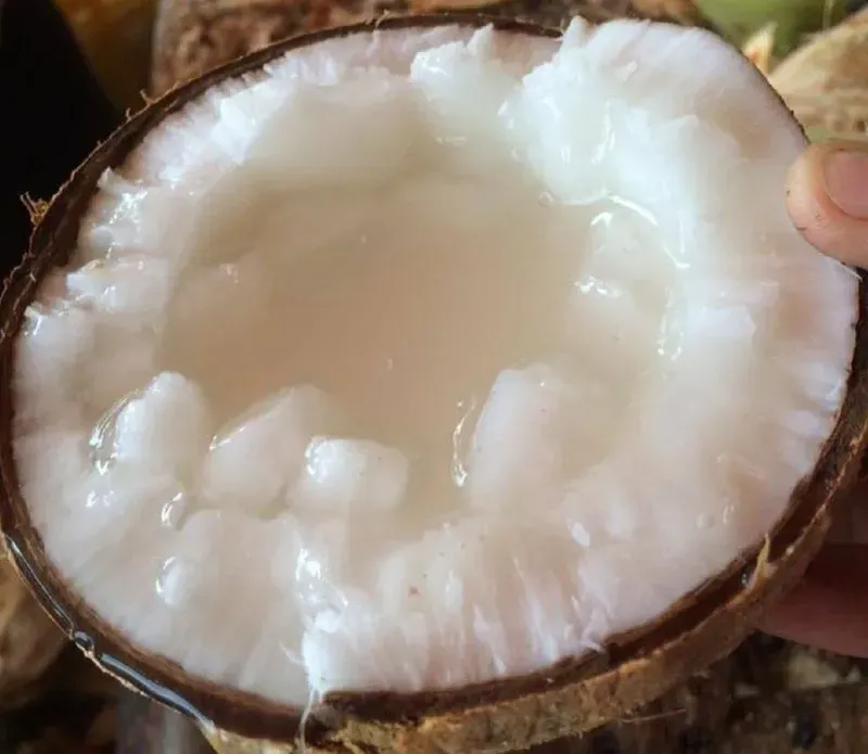 cách ăn dừa sáp 5