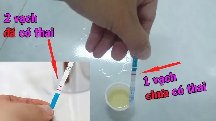 cách dùng que thử thai 5