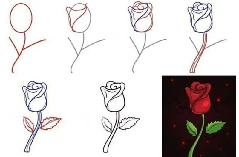 cách vẽ hoa hồng 3