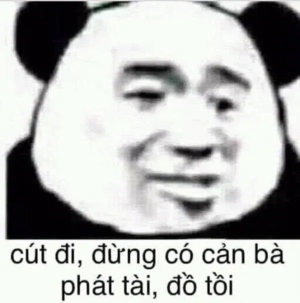 cút meme 7