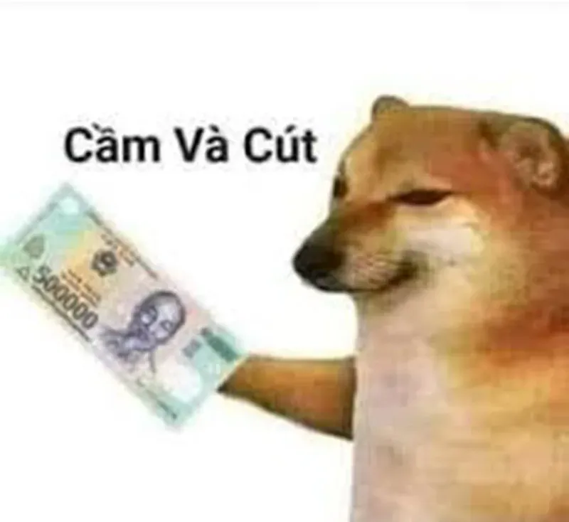 cút meme 11