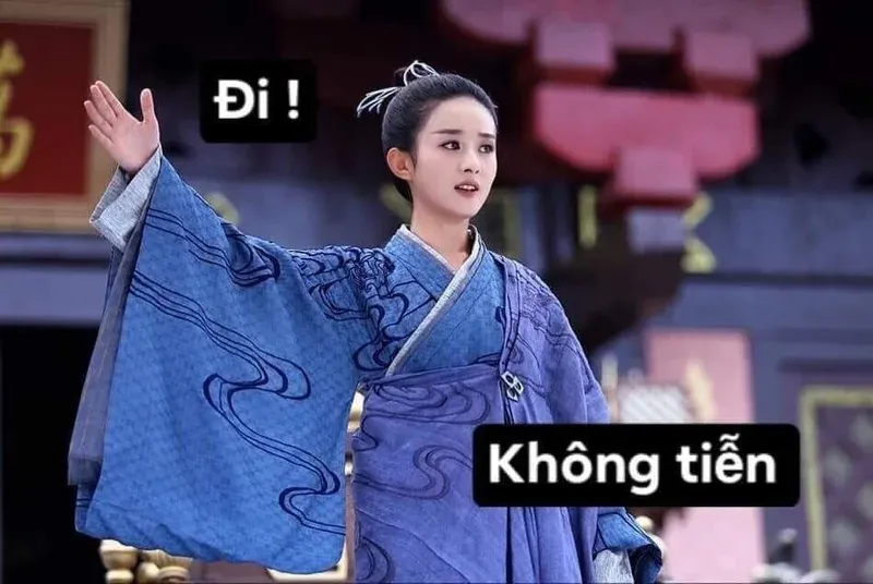 cút meme 12