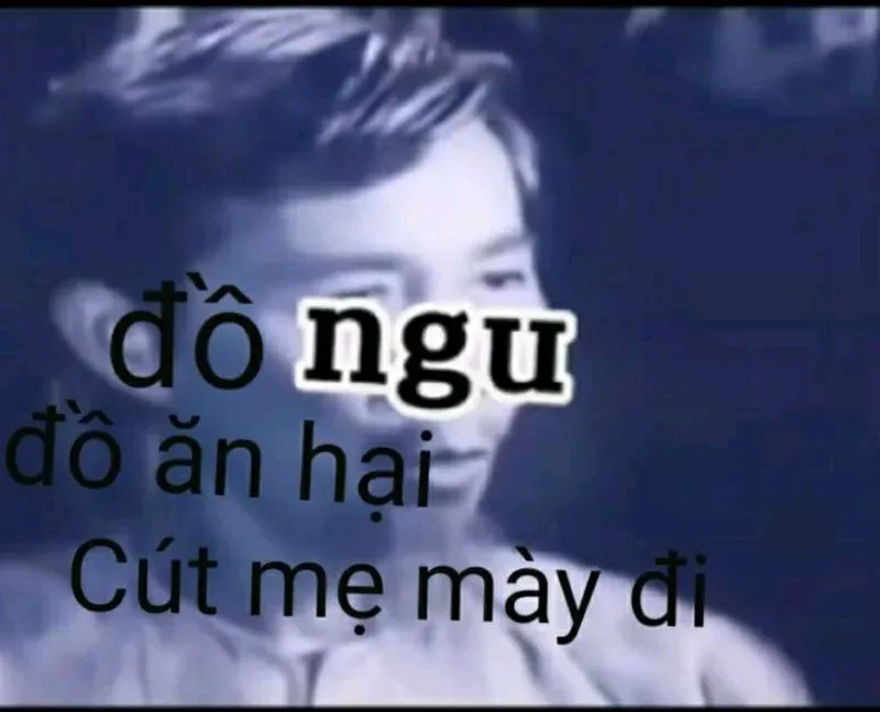 cút meme 13