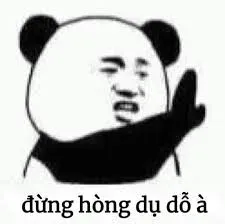 cút meme 17
