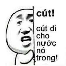 cút meme 35
