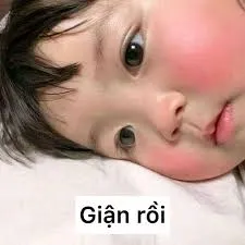meme em bé 16