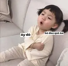 meme em bé 31