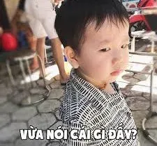 meme em bé 27