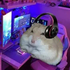 hamster meme 1