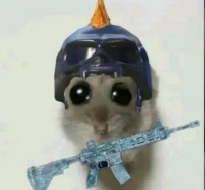 hamster meme 6