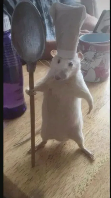 hamster meme 11