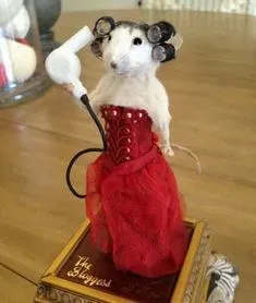 hamster meme 19