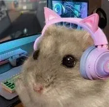hamster meme 27
