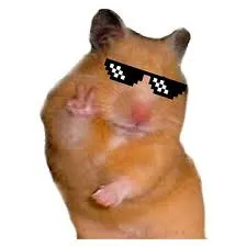 hamster meme 37