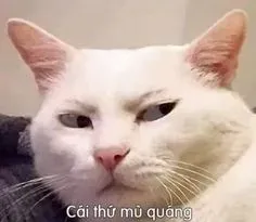 mặt meme 10