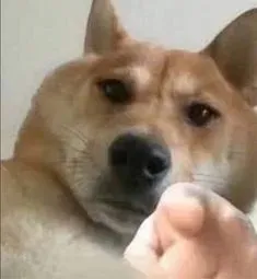 mặt meme 25