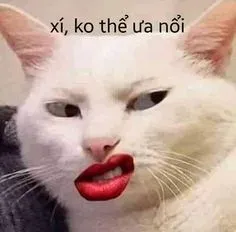 mặt meme 34