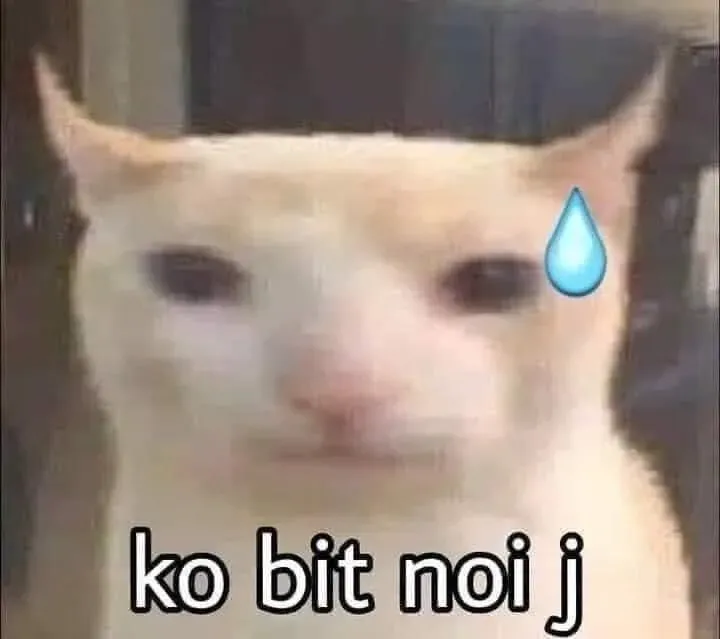 mặt meme 37