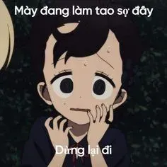meme ai biết gì đâu 4