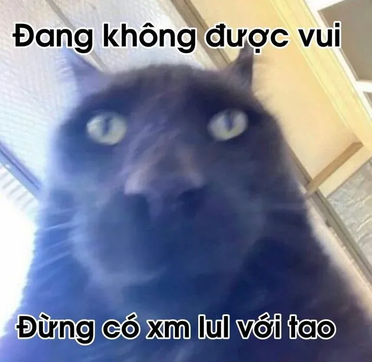 meme ai biết gì đâu 9