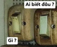 meme ai biết gì đâu 12