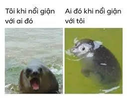 meme ai biết gì đâu 14