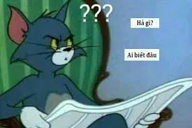meme ai biết gì đâu 30