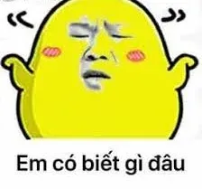 meme ai biết gì đâu 17