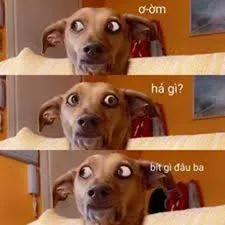 meme ai biết gì đâu 34