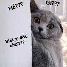 meme ai biết gì đâu 35