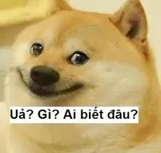 meme ai biết gì đâu 27