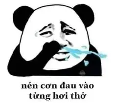 meme an ủi 3