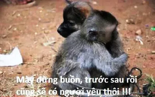 meme an ủi 22