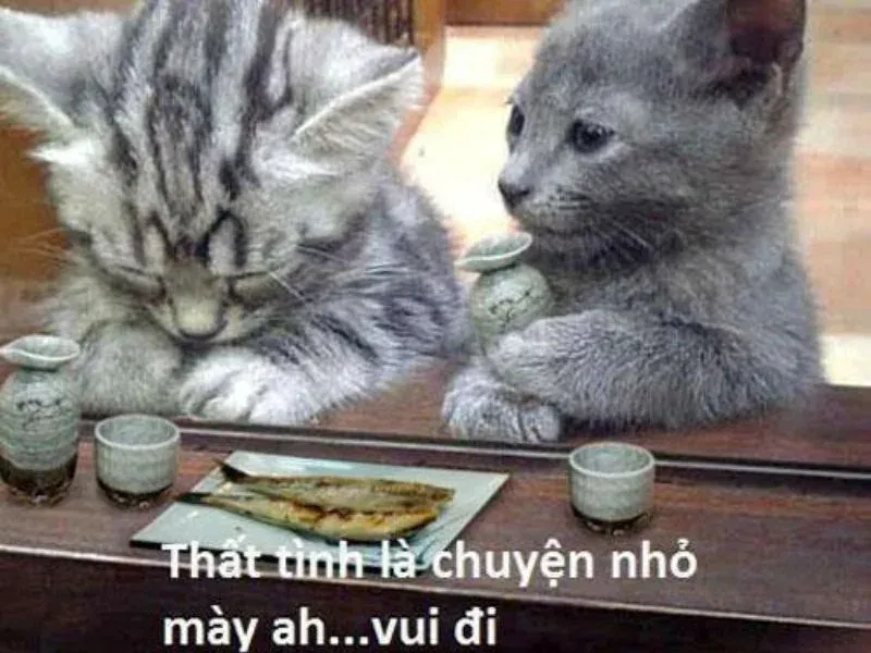 meme an ủi 23