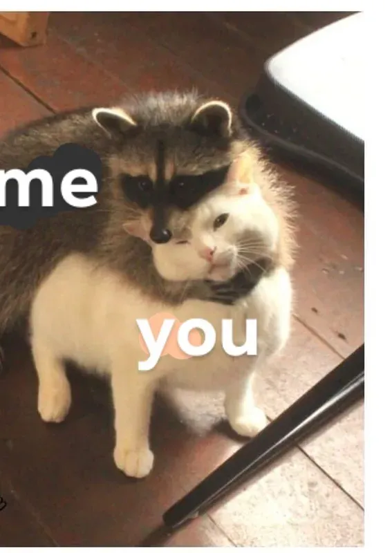 meme an ủi 28