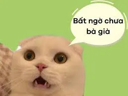 meme bất ngờ 13