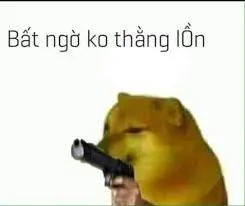 meme bất ngờ 12