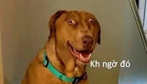 meme bất ngờ 32