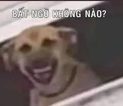 meme bất ngờ 36