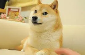 meme bất ngờ 37