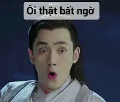 meme bất ngờ 30