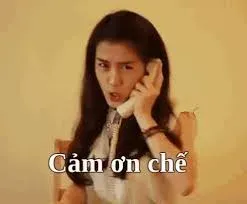 meme cảm ơn 8