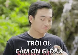 meme cảm ơn 20