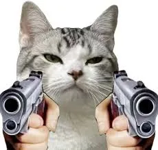 meme cầm súng 12