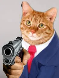 meme cầm súng 13