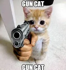 meme cầm súng 14