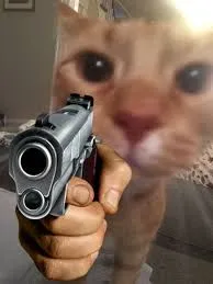 meme cầm súng 18