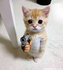 meme cầm súng 20